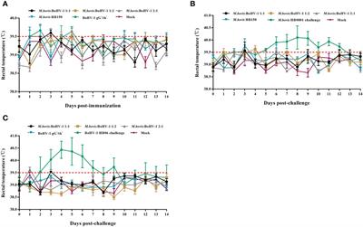 Investigation of the safety and protective efficacy of an attenuated and marker M. bovis-BoHV-1 combined vaccine in bovines